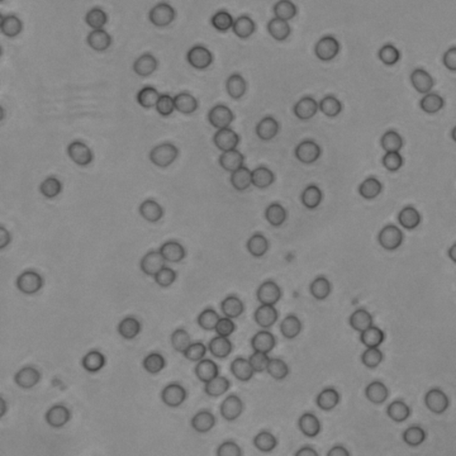 dlabflow-yolo-onnx-react-rbc