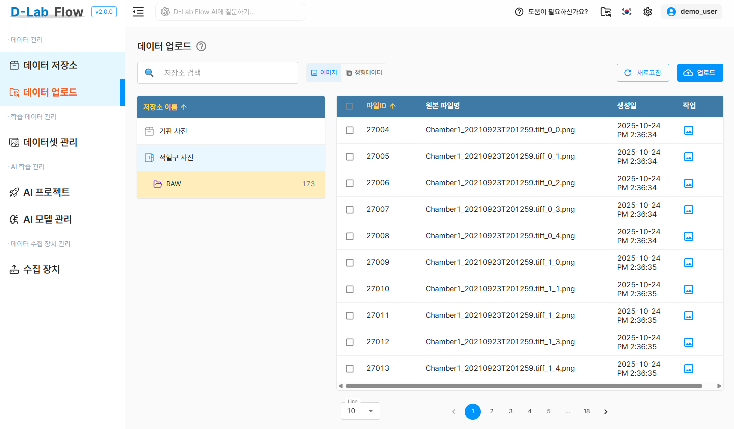 dlabflow-yolo-onnx-react-rbc